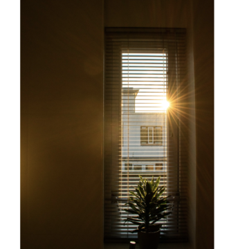 Cultivating a Mindful Morning Routine